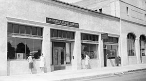 Branch Photo