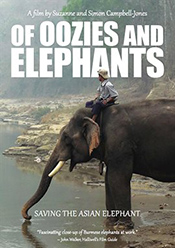 Of Oozies and Elephants