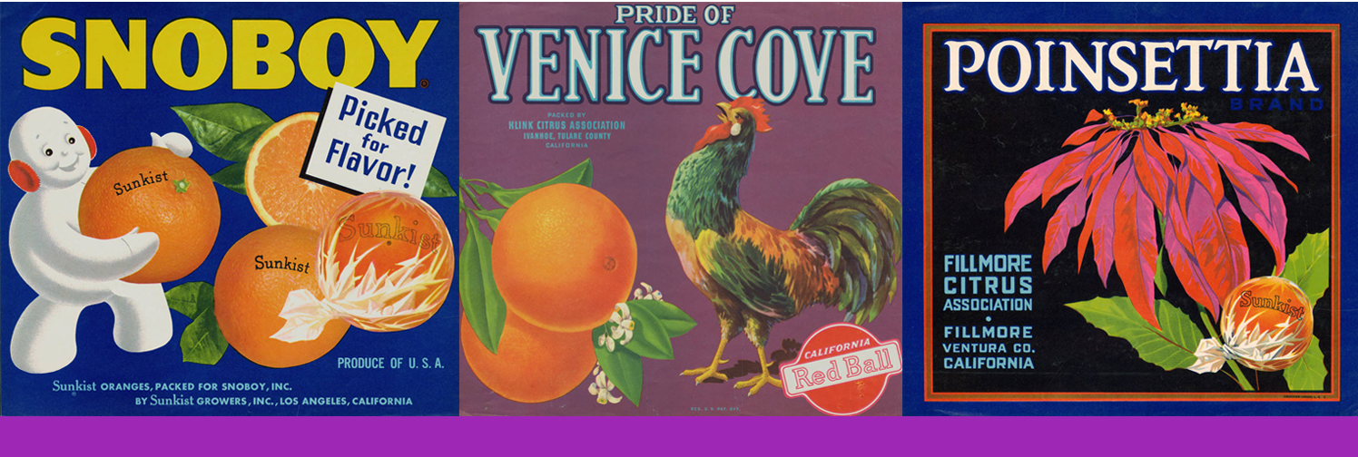 Winter Reading Challenge