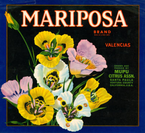 Fruit crate label shows flowers in bloom