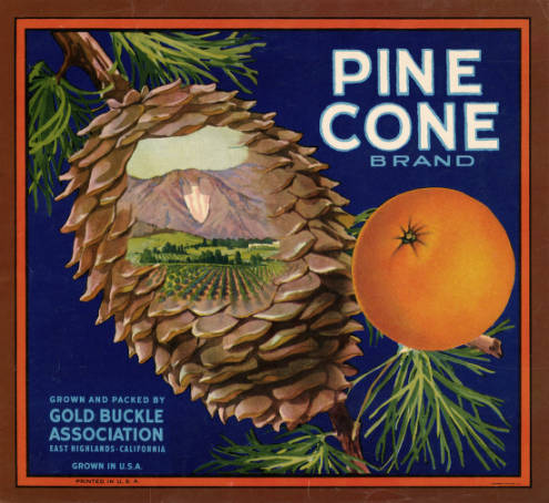Fruit crate label shows a pine cone and an orange