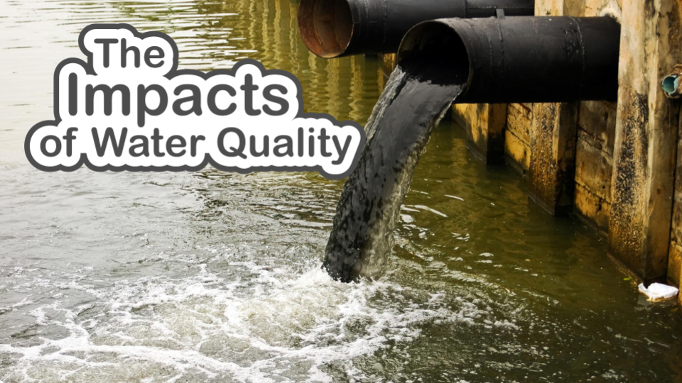 The Impacts of Water Quality slide deck cover