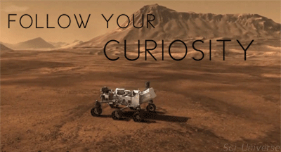 Follow your curiosity!