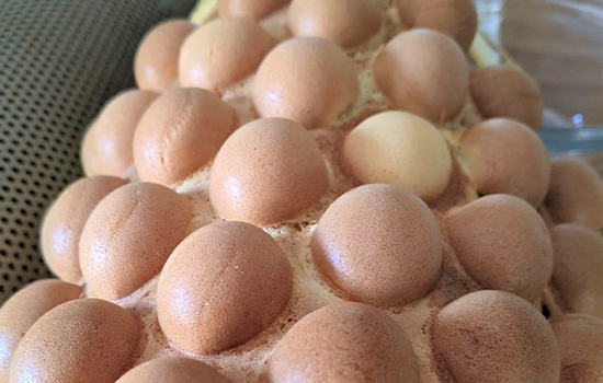 Hong Kong Street Food