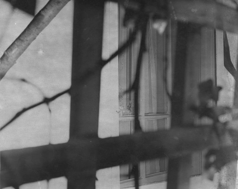 bullet holes centered in the window