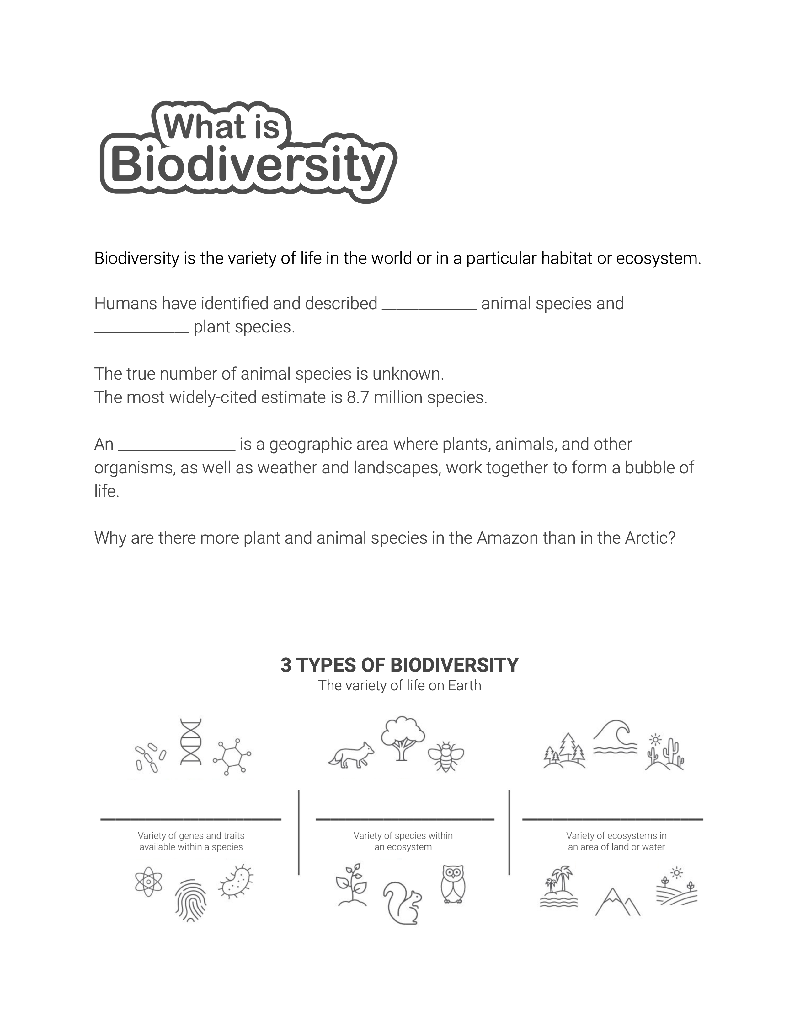 What is Biodiversity activity sheet cover