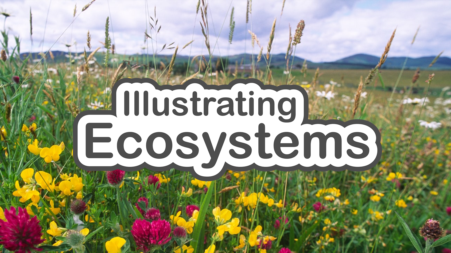 Illustrating Ecosystems slide deck cover