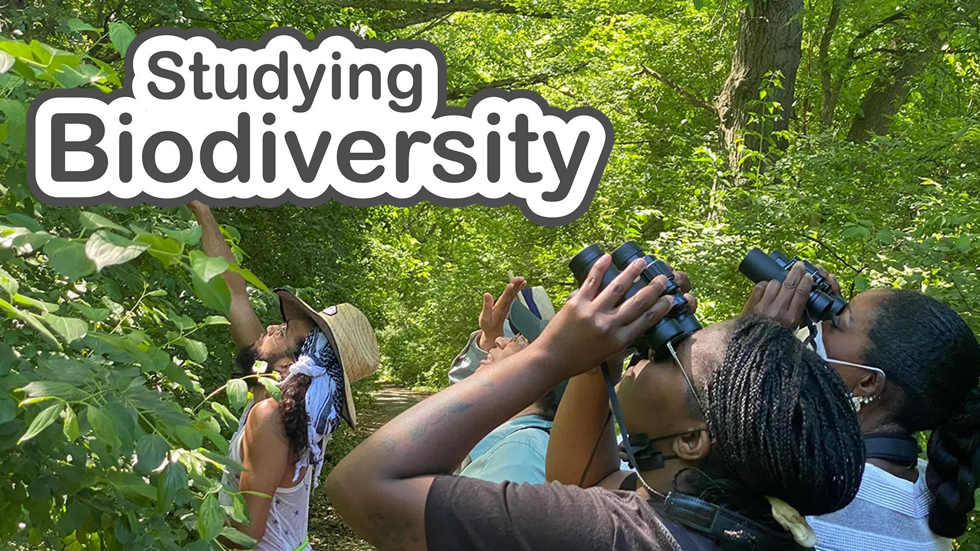 Studying Biodiversity slide deck cover