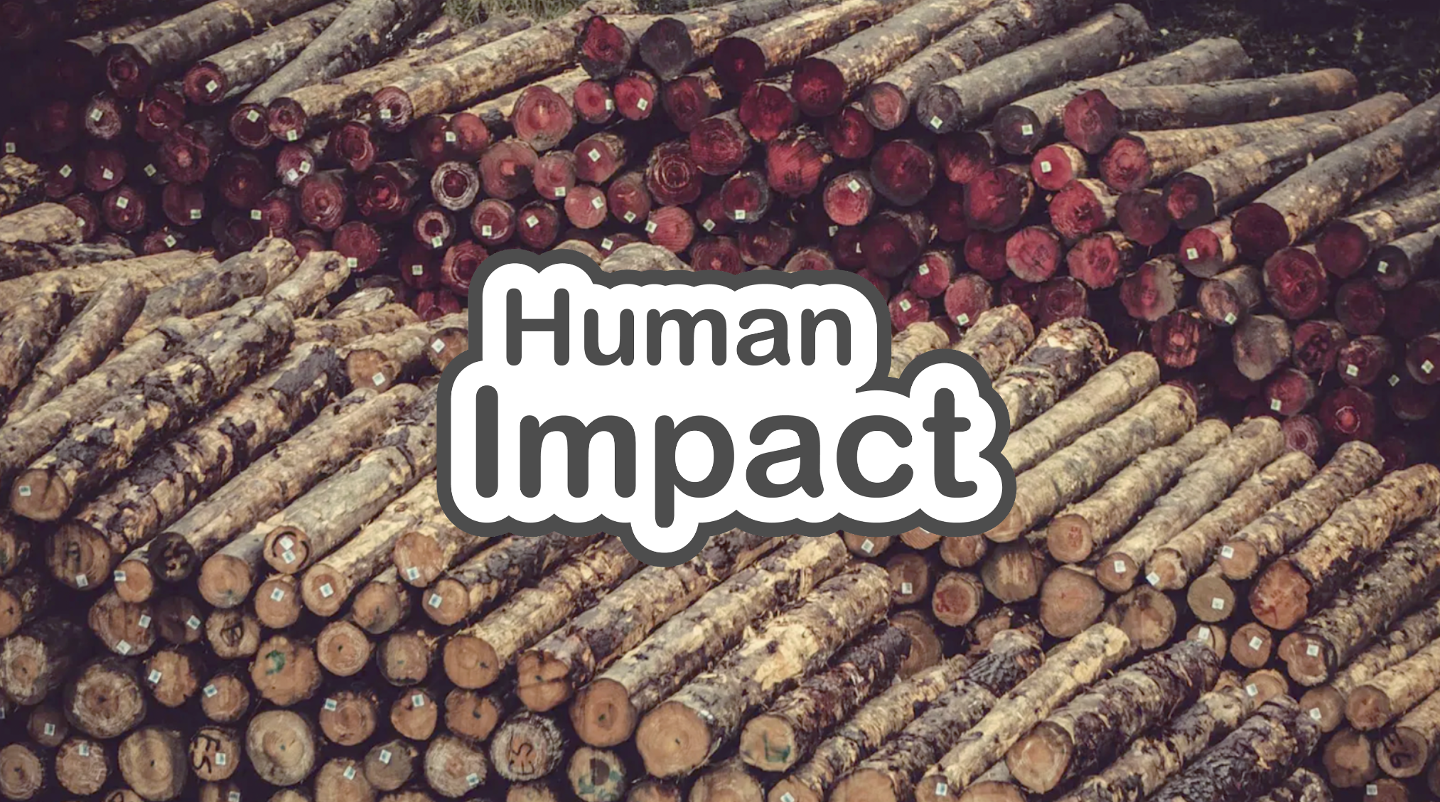 Human Impact slide deck cover