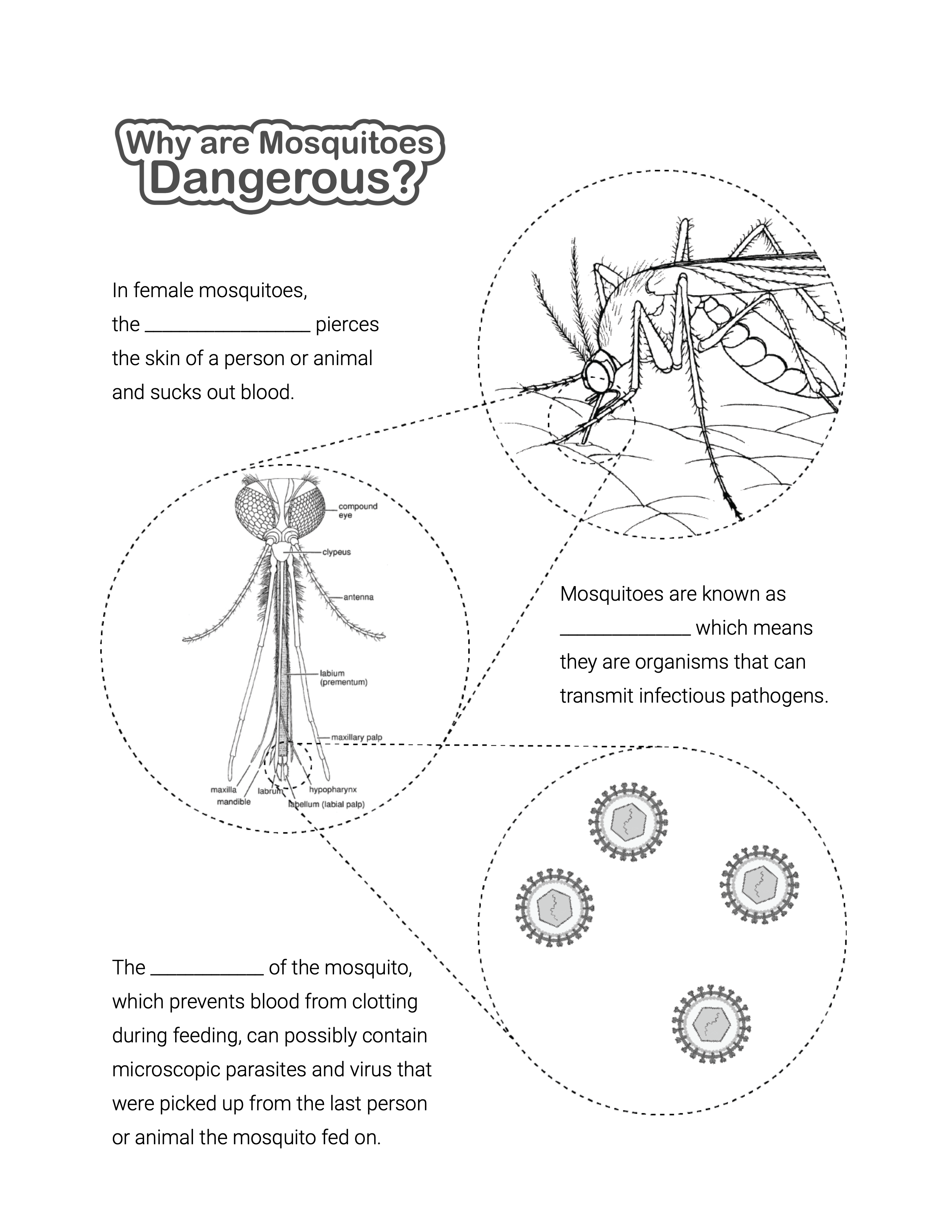 Why are Mosquitoes Dangerous activity sheet cover
