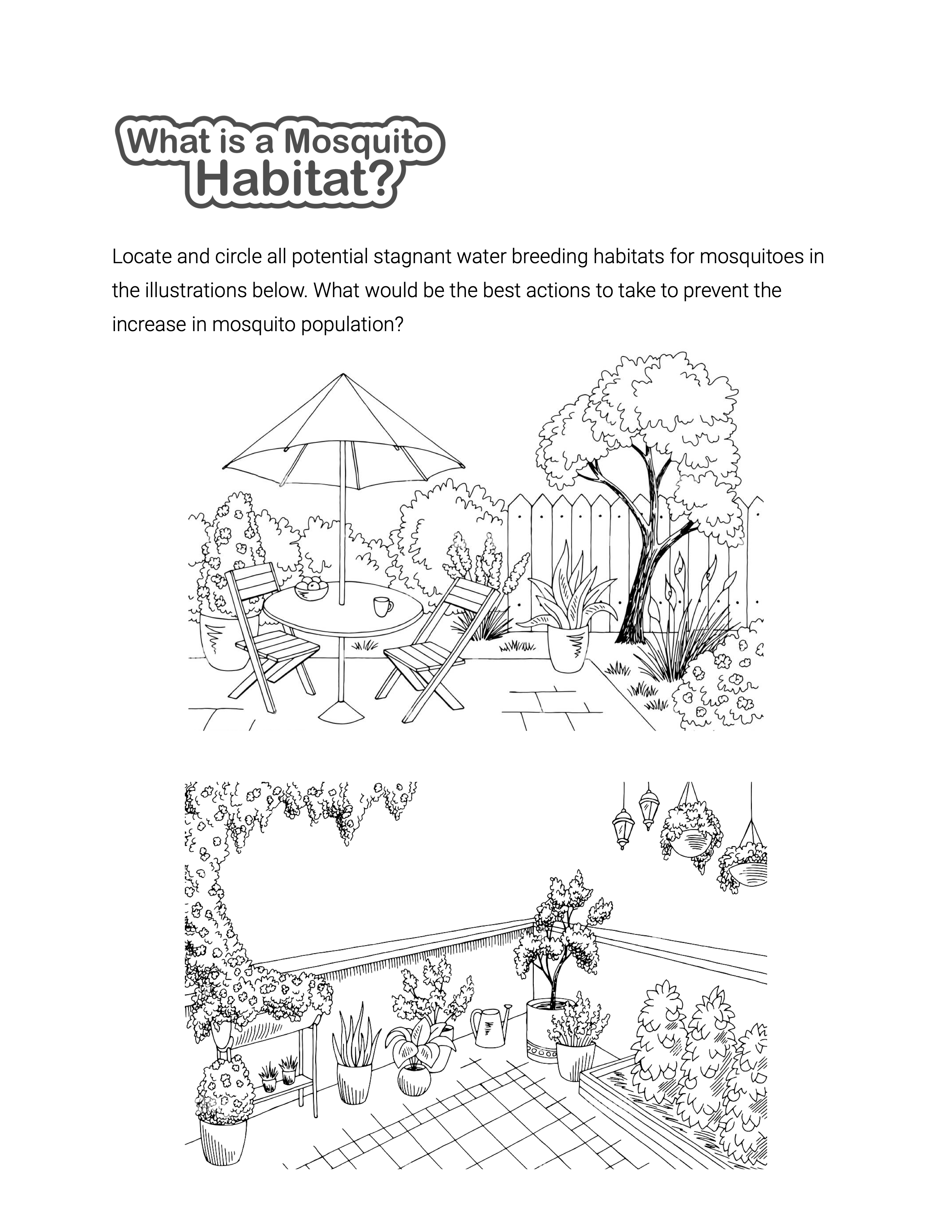 What is a Mosquito Habitat activity sheet cover