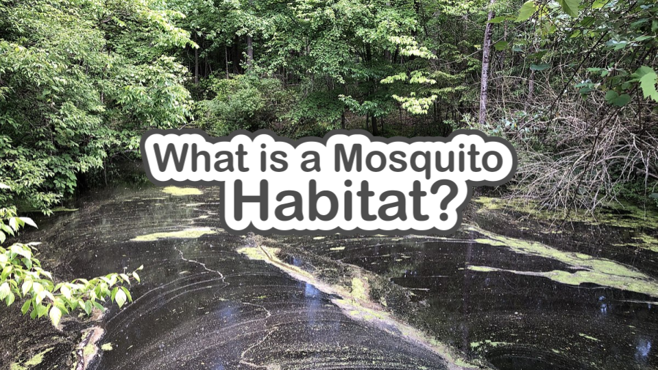 What is a Mosquito Habitat slide deck cover