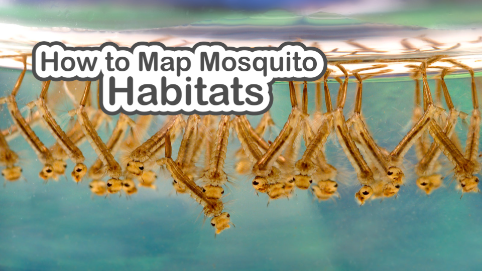 How to Map Mosquito Habitats