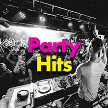 a black and white photo of a dj facing a nightclub crowd