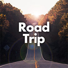 a view from a long highway on top of a big hill with huge trees on either side