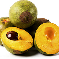 lacuma fruit