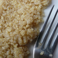 close up of Quinoa with a fork for size