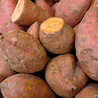 pile of sweet potatoes