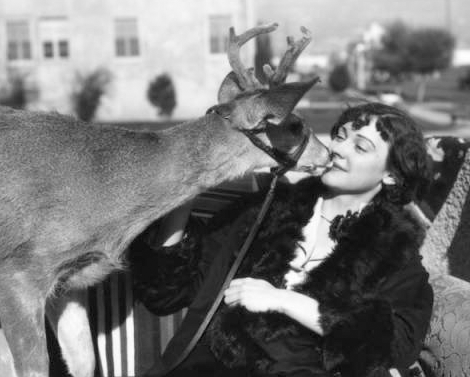 Bennie the deer kissing a women on a bench