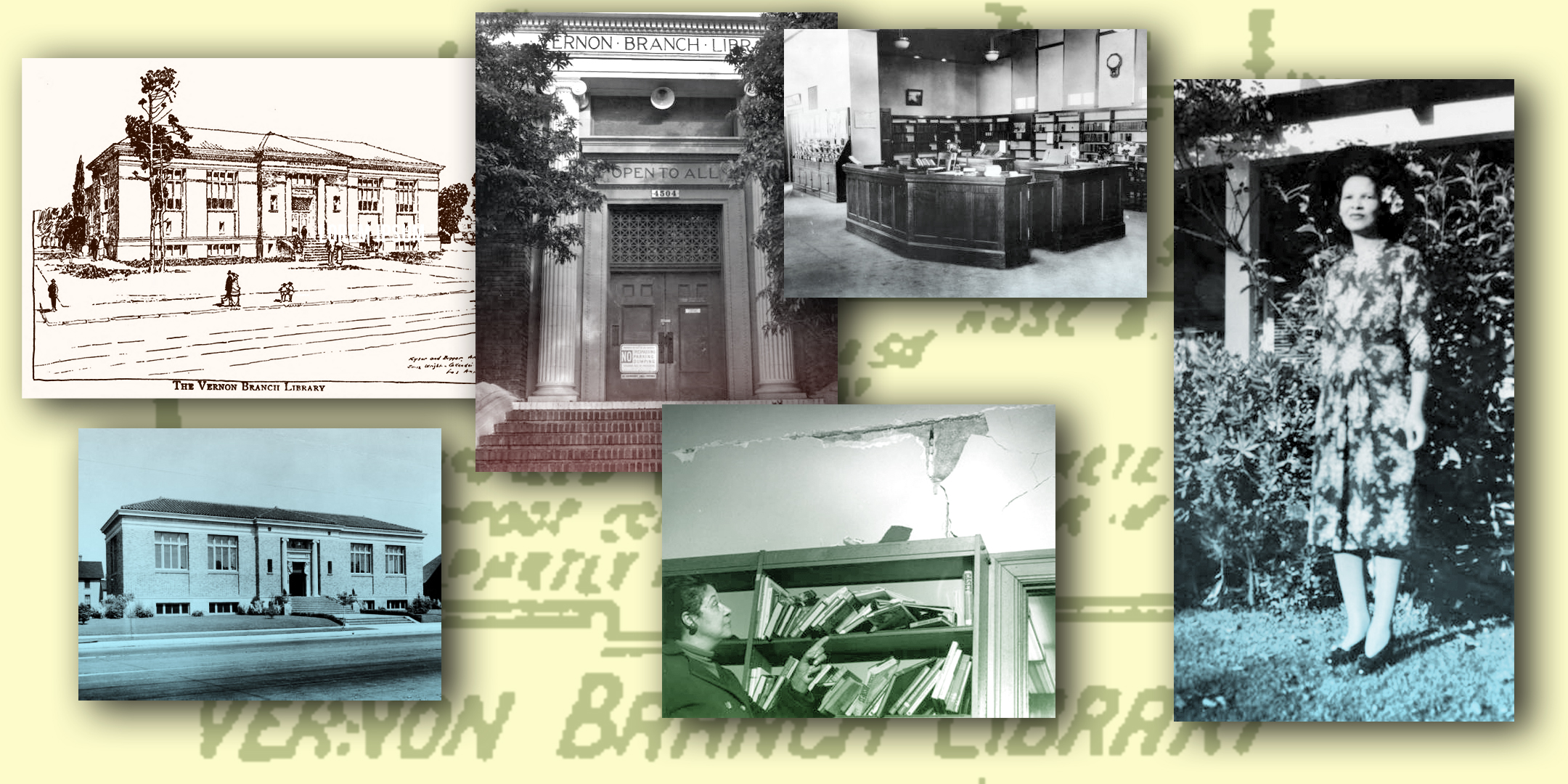 collage of photos of vernon