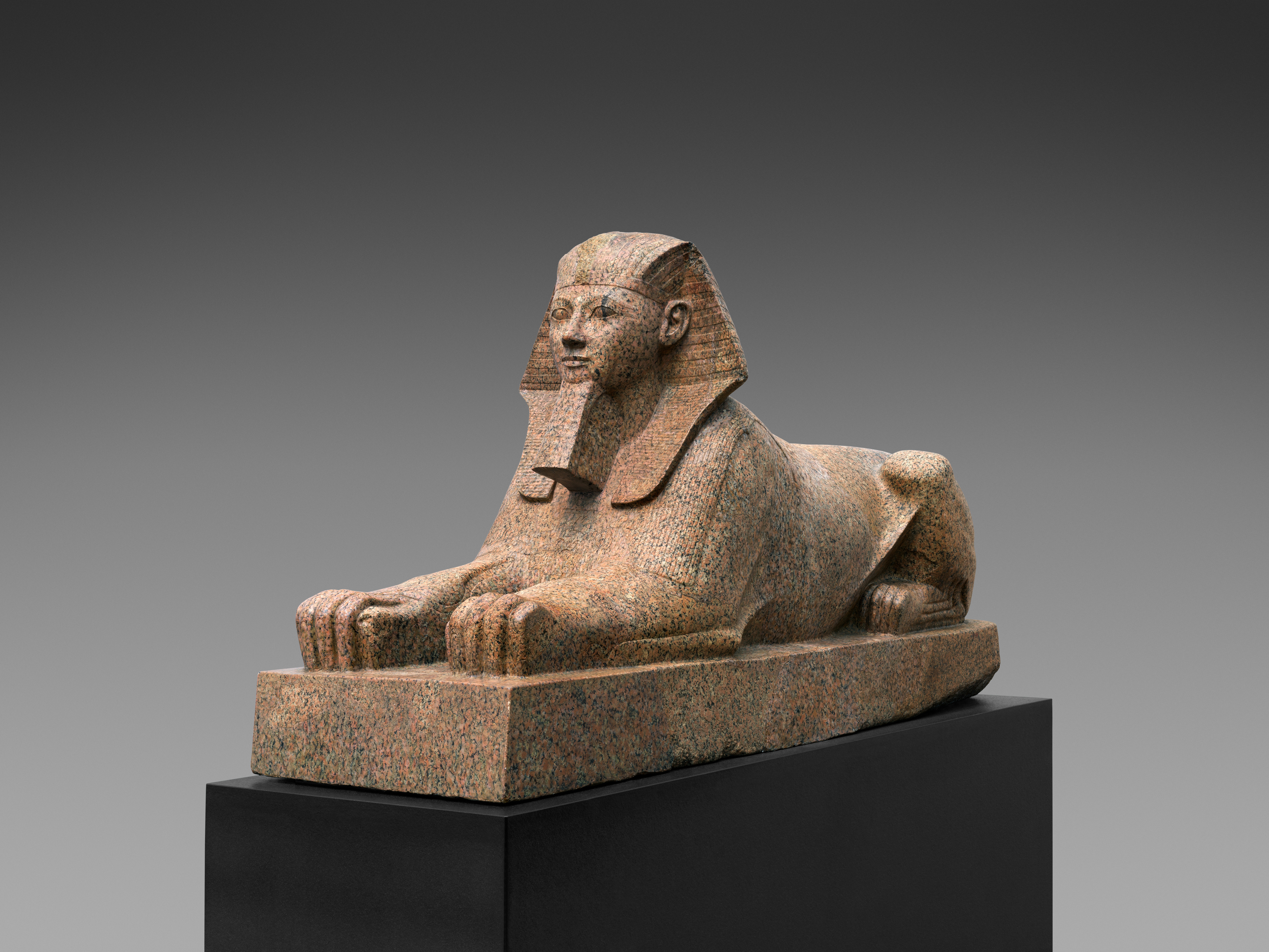 The Sphinx of Hatshepsut