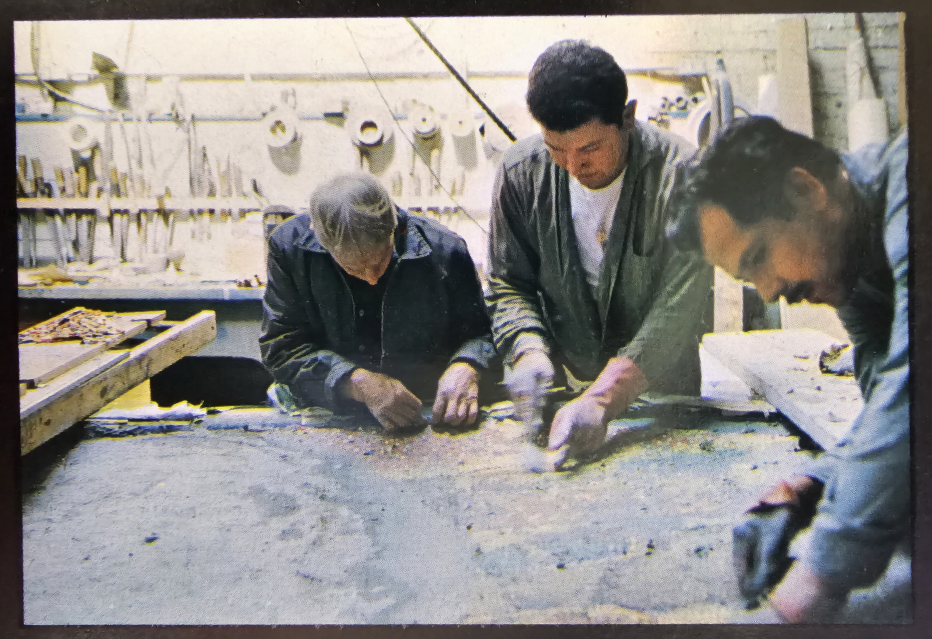 Bufano book page insert