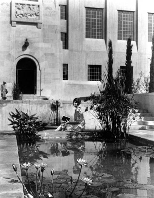 Lily pond at Central Library