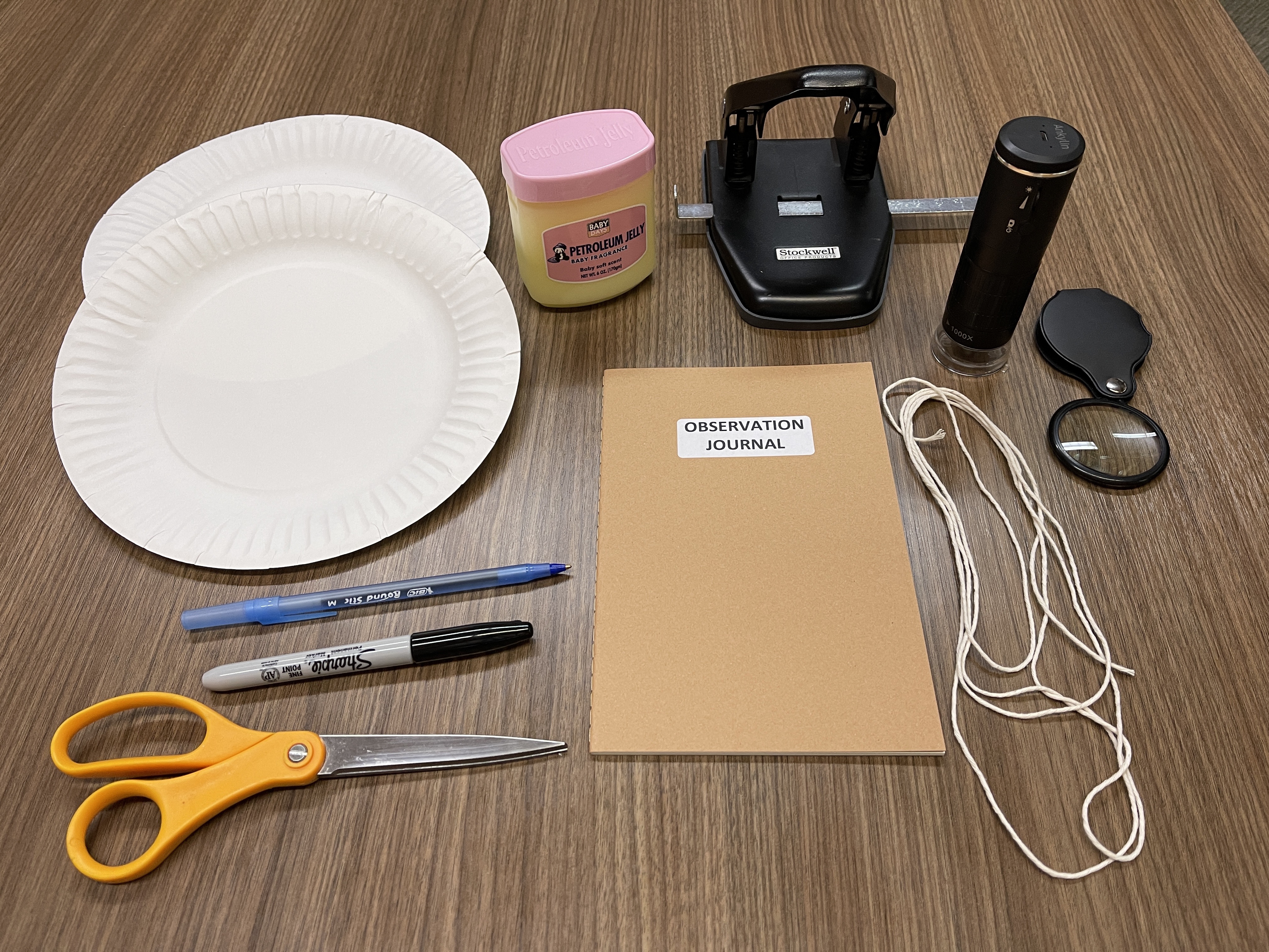 supplies needed to make an air pollution catcher