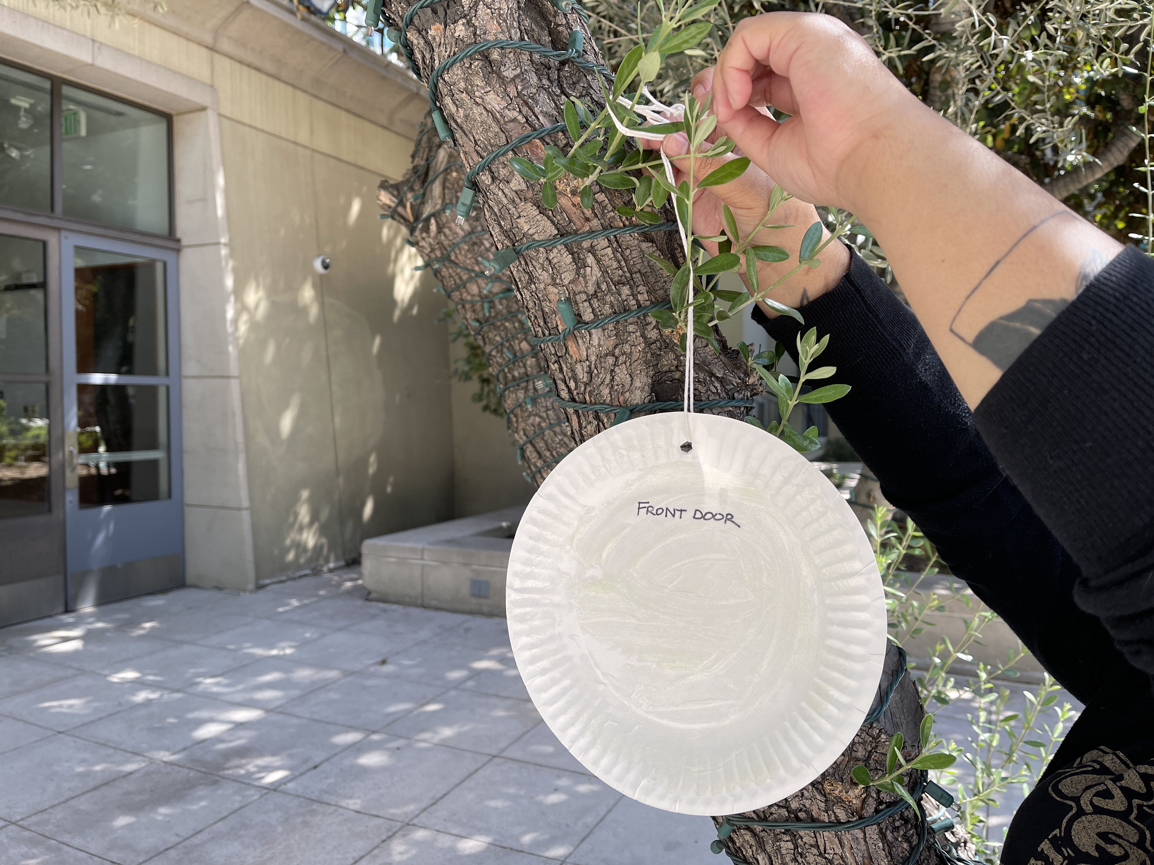 a person hanging a handmade air pollution catcher