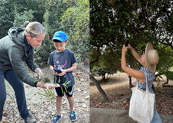 Various people observing nature