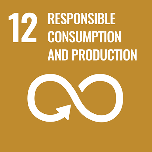 UN Sustainability Development Goal #12: Responsible Consumption and Production