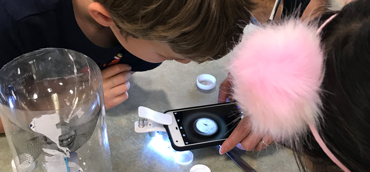 kids ussing the modquito habitat mapper app