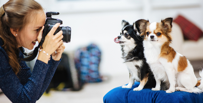 Young person taking a picture of two cute dogs.