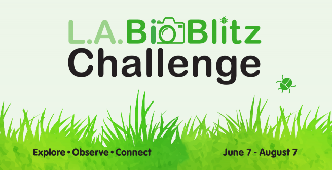 BioBlitz header