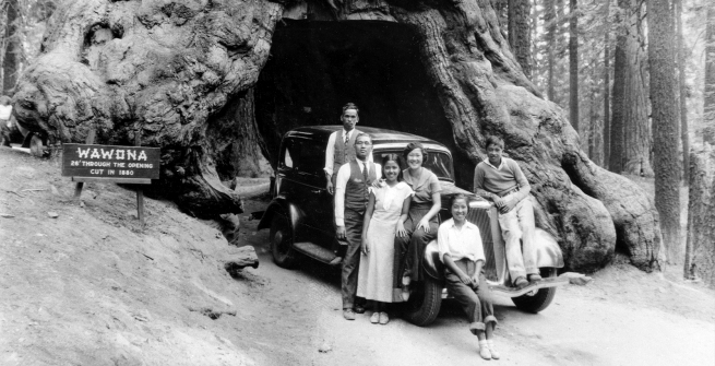 Japanese family gather beside an automobile at Wawona Tree in Yosemite National Park