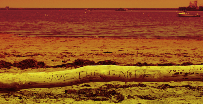 Polluted Beach with a piece of driftwood that reads, Save the Earth