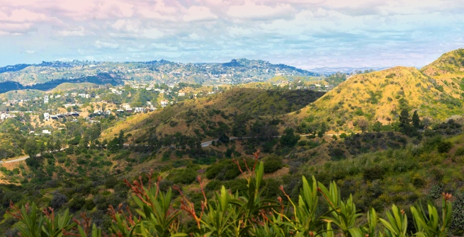 view of L.A. from one side to the other