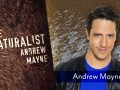photo of the author Andrew Mayne on the right side, and book cover for The Naturalist on the left side. All one graphic.