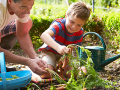Father and son harvesting their vegetables from their garden.