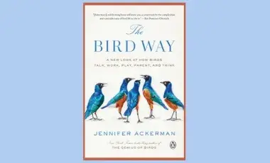 Cover image of "The Bird Way" by Jennifer Ackerman.