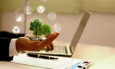 hand holding a tiny tree next to a laptop