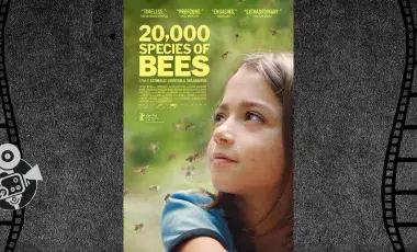 bees flying