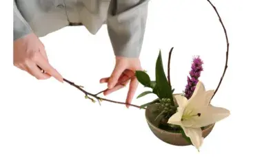 Individual arranging flowers