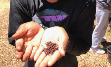 Child outdoors holding vermicomposting worms in their hands.