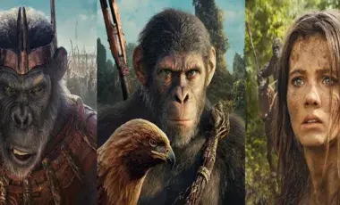 Faces of two apes and one woman