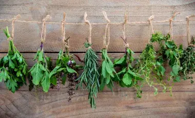 herbs bundles tied in twine hanging upside down 