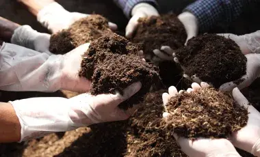 multiple hands holding compost