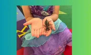 woman holding a bug in her hands