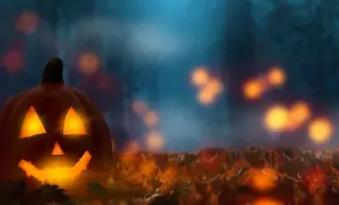 Group of pumpkins in rural landscape