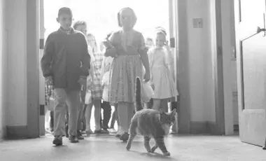 Children walking into a school with the Room 8 Cat leading them.
